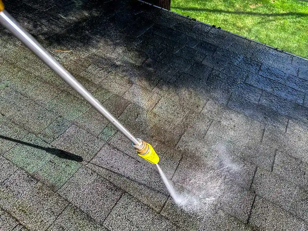 Roof Cleaning and Coating in Edmonton